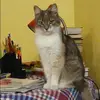 Отзыв от Ульяна Любимова
